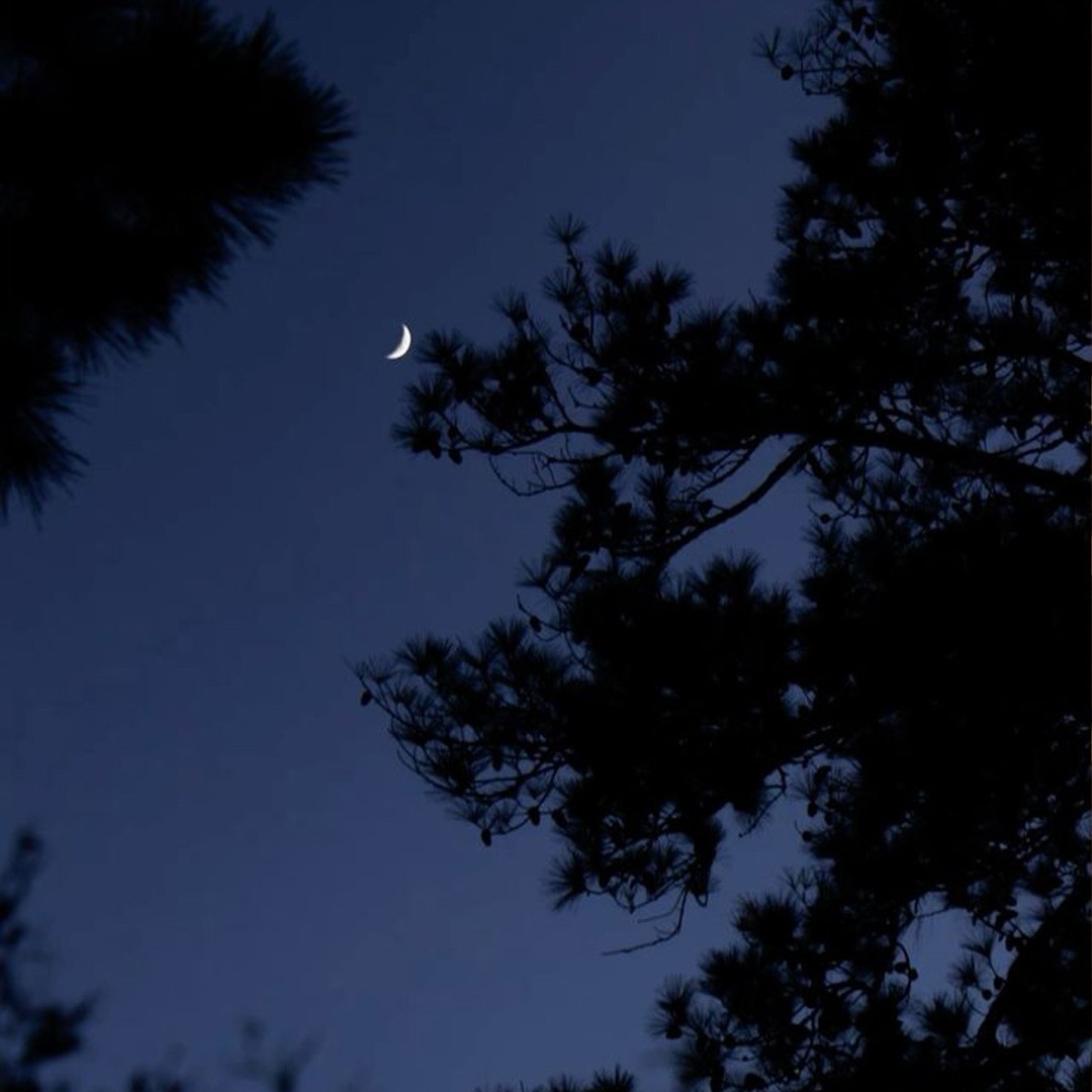 Night Trail